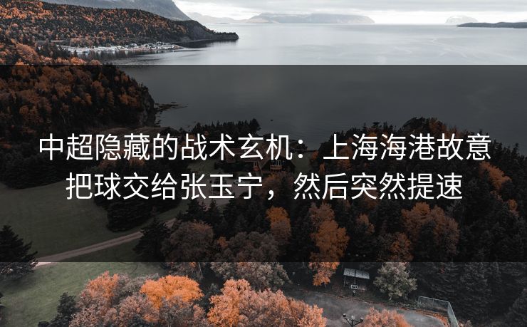 中超隐藏的战术玄机：上海海港故意把球交给张玉宁，然后突然提速